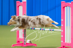 2024-3-10-May-Trial-668