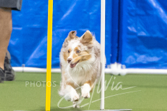 2024-3-10-May-Trial-669