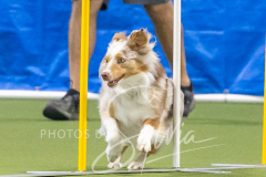 2024-3-10-May-Trial-670