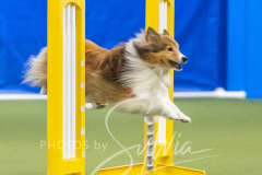 2024-3-10-May-Trial-673