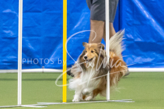 2024-3-10-May-Trial-674