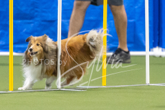 2024-3-10-May-Trial-675