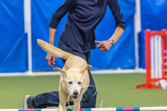 2024-3-10-May-Trial-678