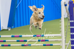 2024-3-10-May-Trial-679