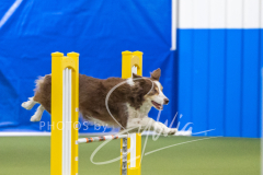 2024-3-10-May-Trial-680