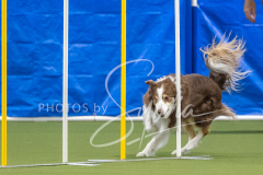 2024-3-10-May-Trial-681