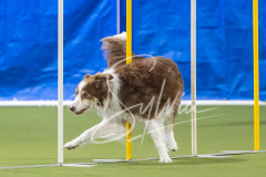 2024-3-10-May-Trial-682