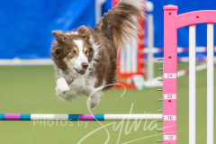 2024-3-10-May-Trial-683