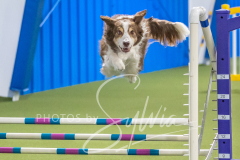 2024-3-10-May-Trial-684