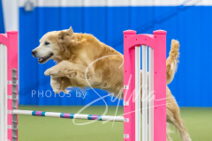 2024-3-10-May-Trial-685