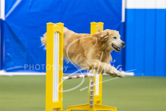 2024-3-10-May-Trial-686