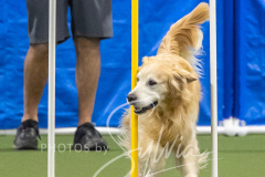 2024-3-10-May-Trial-687