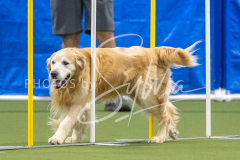 2024-3-10-May-Trial-688