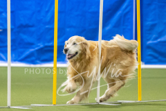 2024-3-10-May-Trial-689