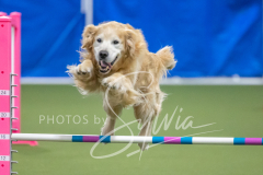 2024-3-10-May-Trial-690