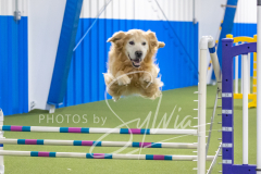 2024-3-10-May-Trial-691