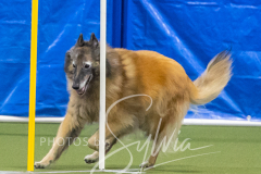 2024-3-10-May-Trial-692