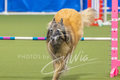 2024-3-10-May-Trial-693