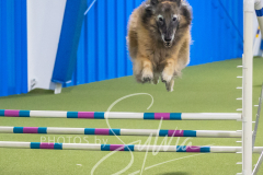 2024-3-10-May-Trial-694