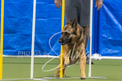 2024-3-10-May-Trial-695