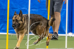 2024-3-10-May-Trial-696