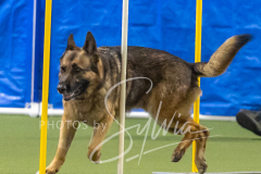 2024-3-10-May-Trial-697