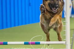 2024-3-10-May-Trial-698