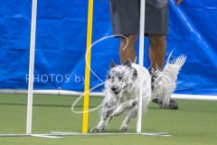 2024-3-10-May-Trial-699