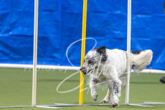 2024-3-10-May-Trial-700