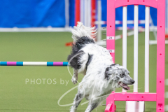 2024-3-10-May-Trial-701