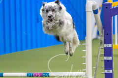 2024-3-10-May-Trial-702