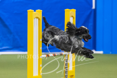 2024-3-10-May-Trial-703