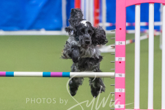 2024-3-10-May-Trial-705