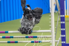 2024-3-10-May-Trial-706