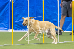 2024-3-10-May-Trial-708