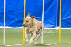 2024-3-10-May-Trial-709