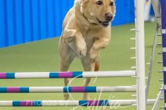 2024-3-10-May-Trial-711