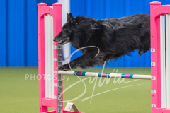 2024-3-10-May-Trial-712