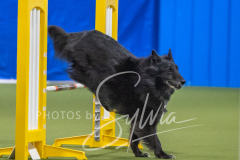 2024-3-10-May-Trial-713