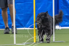 2024-3-10-May-Trial-714