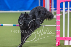 2024-3-10-May-Trial-716