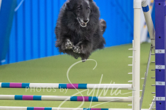 2024-3-10-May-Trial-717