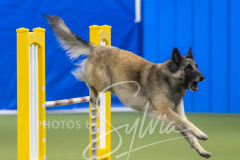 2024-3-10-May-Trial-730