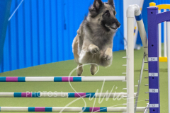 2024-3-10-May-Trial-734