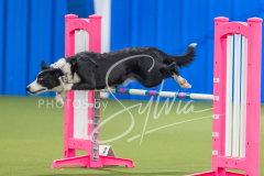 2024-3-10-May-Trial-735