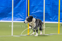 2024-3-10-May-Trial-737