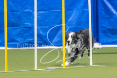 2024-3-10-May-Trial-740