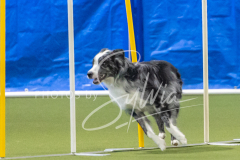 2024-3-10-May-Trial-741