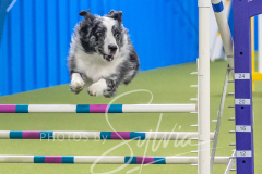 2024-3-10-May-Trial-742