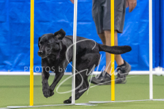 2024-3-10-May-Trial-743